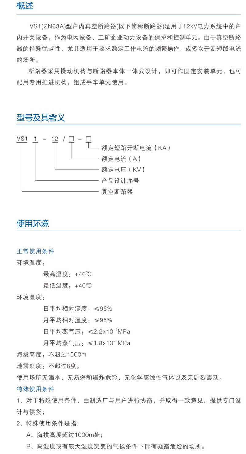 ZN63 （VS1）-12.jpg